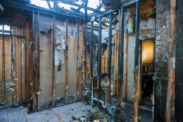 Professional Fire Damage Assessment technician working in Camden, AL